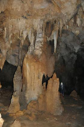 遵义双河洞首次发现10万年前大熊猫“伪拇指”化石-图1