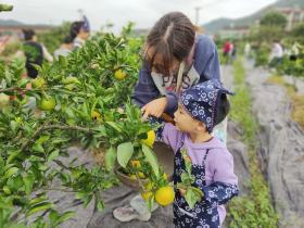 产业工人家庭走进田埂，体验劳动乐趣，增进亲子关系-图3