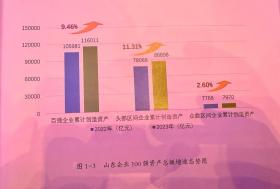 2024山东百强企业发布！总营收突破8万亿大关 - 名单-图16