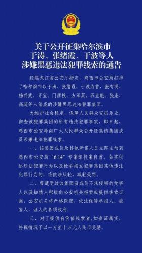 公安局原副局长涉黑恶犯罪，妻、姐同为犯罪集团头目，警方征集线索