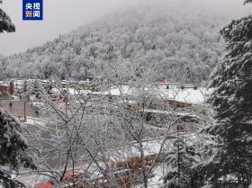 霜降节气中国雪乡迎来今秋首场降雪-图2