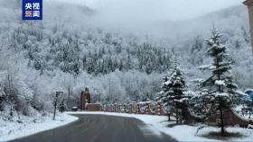 霜降节气中国雪乡迎来今秋首场降雪